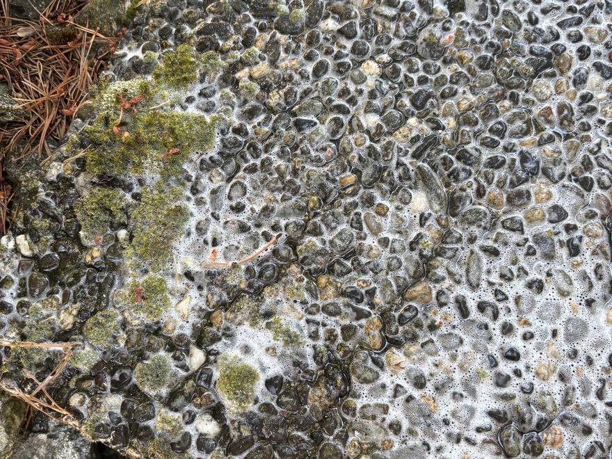 Exposed aggregate walkway crusted with lichen and debris before cleaning