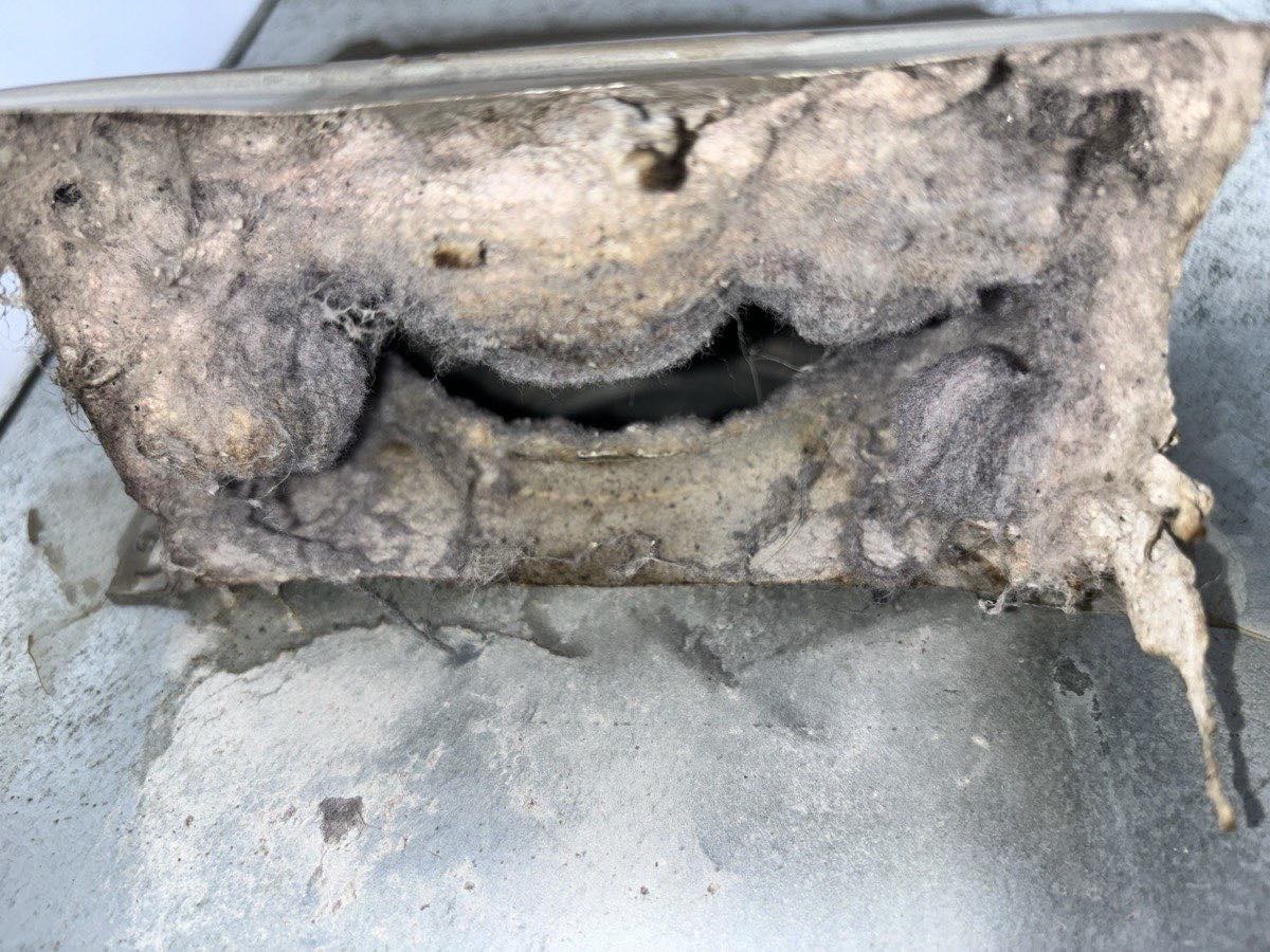 An exterior dryer vent cap choked with matted lint
